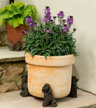 Load image into Gallery viewer, Poodle Plant Pot Feet - Set of 3