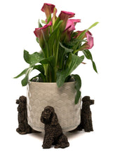 Load image into Gallery viewer, Poodle Plant Pot Feet - Set of 3
