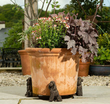 Load image into Gallery viewer, Poodle Plant Pot Feet - Set of 3