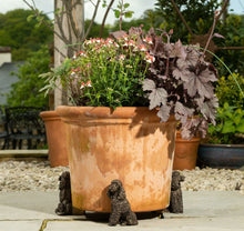 Load image into Gallery viewer, Poodle Plant Pot Feet - Set of 3
